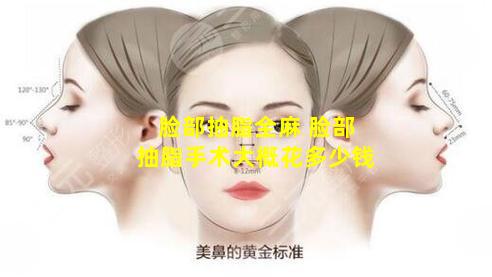 脸部抽脂全麻 脸部抽脂手术大概花多少钱